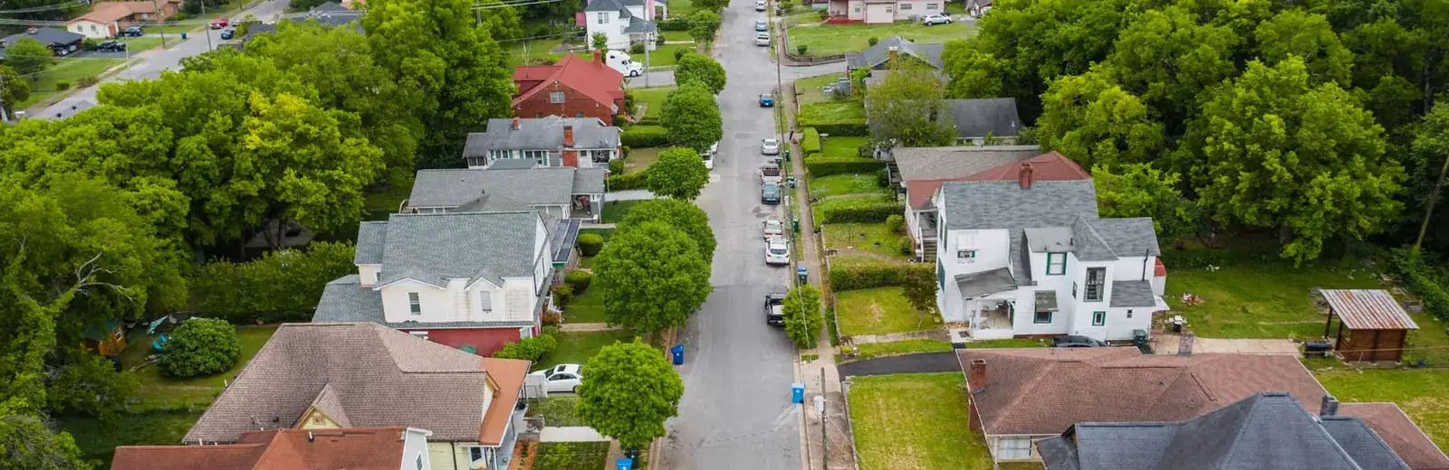 Cleaning services in Westgate, West Auckland — aerial view of tree-lined suburban streets like those across West Auckland