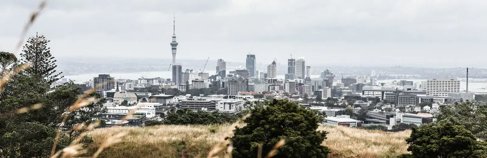 View across Auckland to the Sky Tower — the suburbs Fizzy Cleaning serves