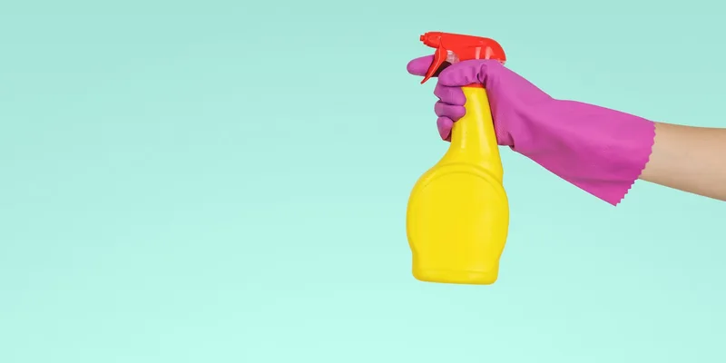 Best One-Off Cleaning Services in Auckland: When a Single Deep Clean Is All You Need