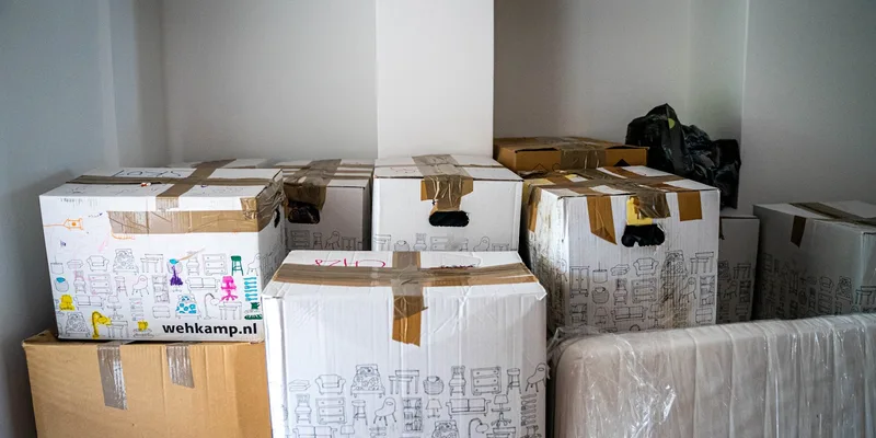 Local Move In & Move Out Cleaning Companies in Auckland: The Complete Guide