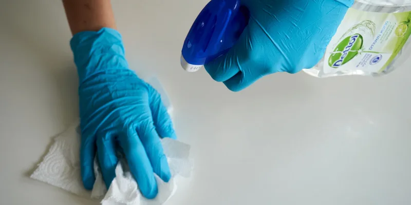 Maid Service Near Me: What a Professional Maid in Auckland Actually Does