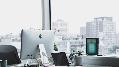 West Auckland cleaning rates