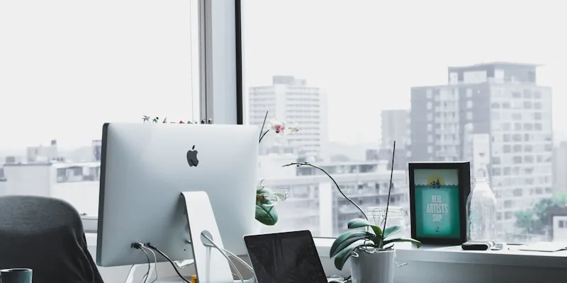 Clean productive Auckland office workspace