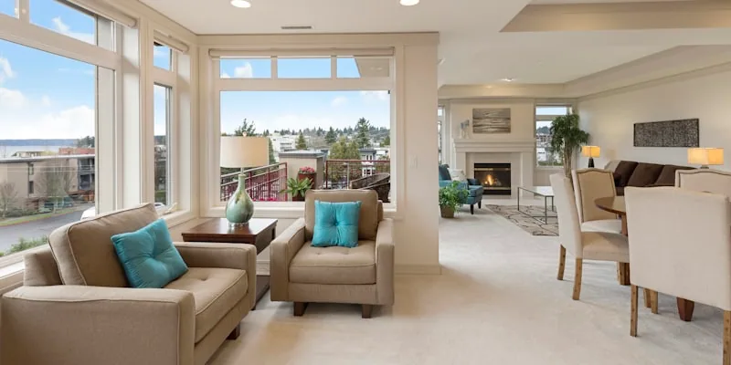 Gutter cleaning Auckland blocked gutters