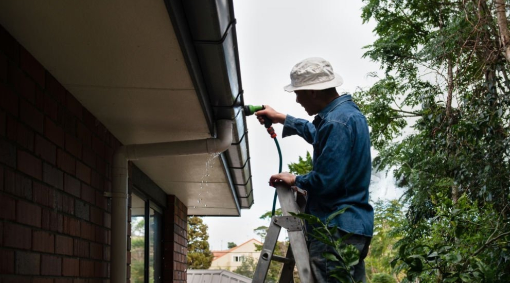 Roof Guter Cleaning Fizzy