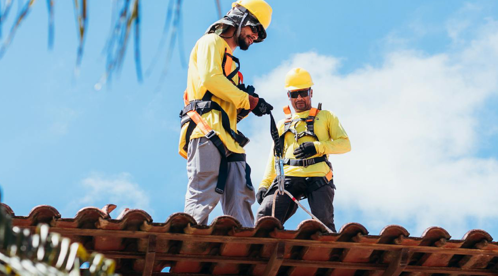 Fizzy Exterior Cleaning